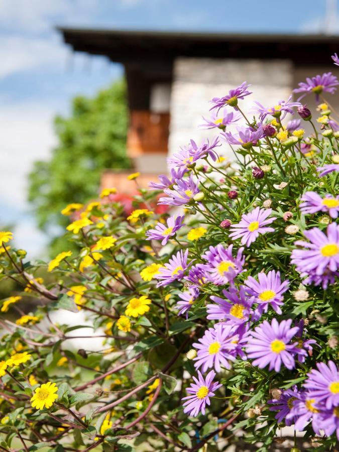 Gaeste- Und Appartementhaus Stachl Waging am See Exterior foto